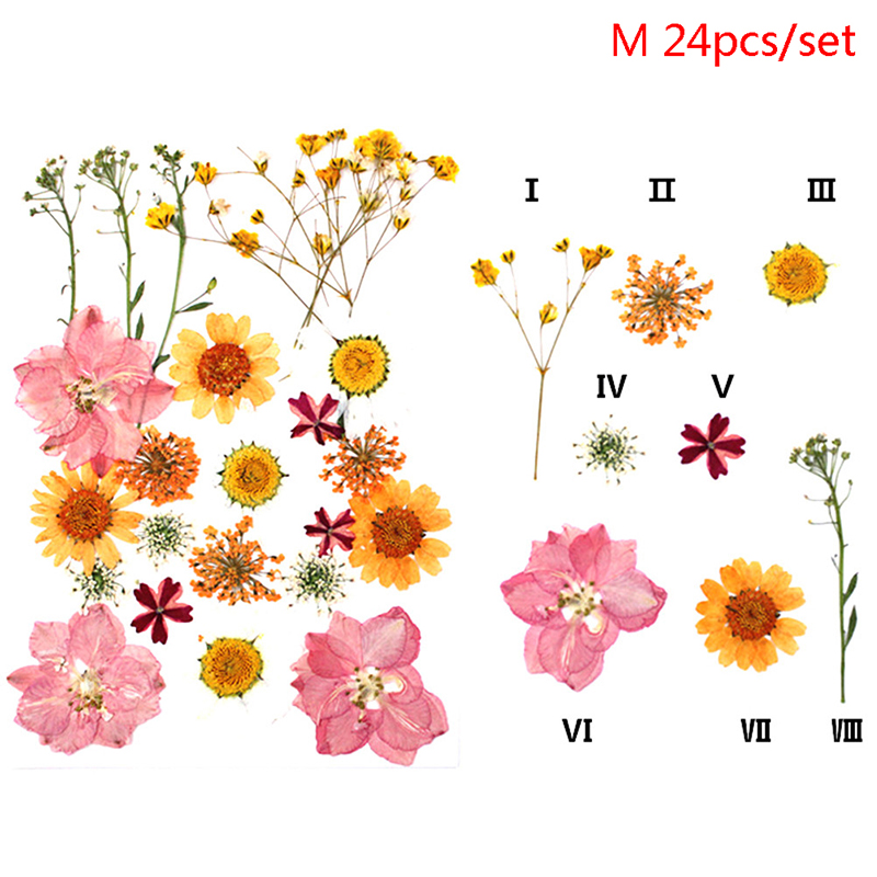 24pcs DIY Dried Flowers Natural Cute Dried Pressed Flowers Dried Craft Flowers, Size: One Size